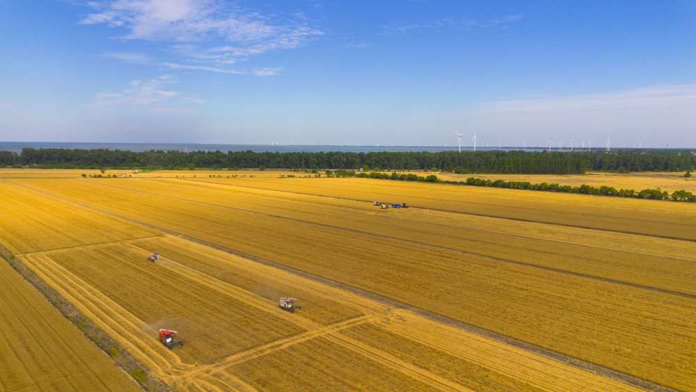 午收特稿 | 聯農帶農 助力“千億斤江淮糧倉”